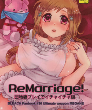 Orihime Inoue Hentai: Novo Casamento